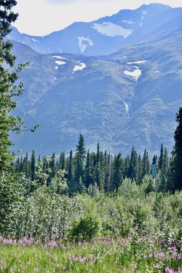 The Perch Resort Denali Park Exterior photo