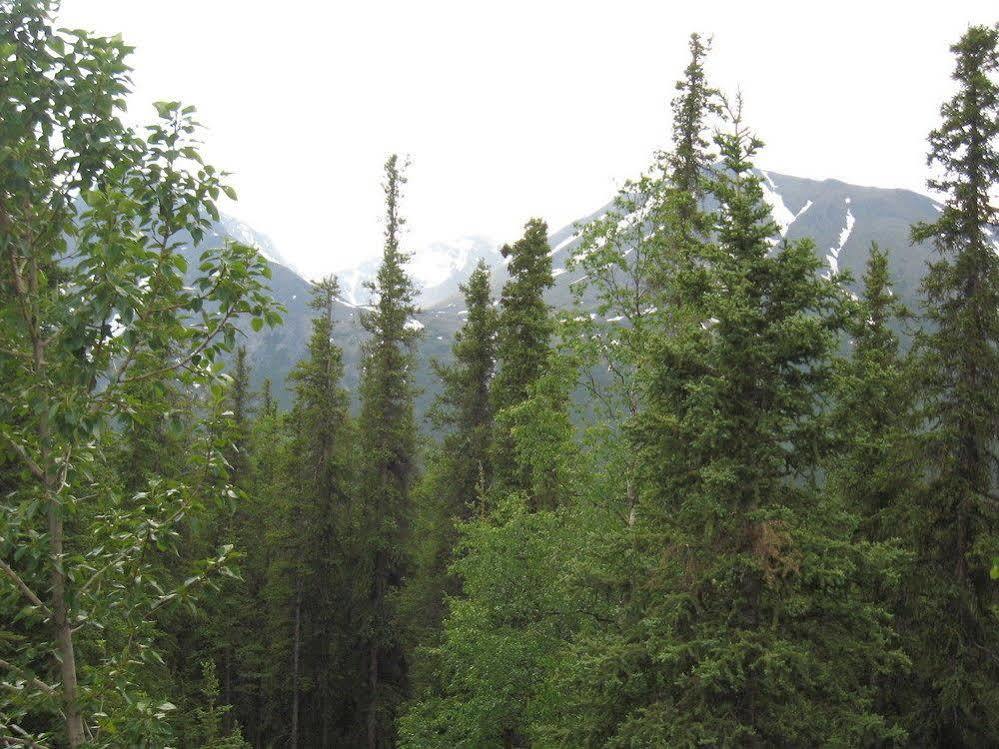 The Perch Resort Denali Park Exterior photo