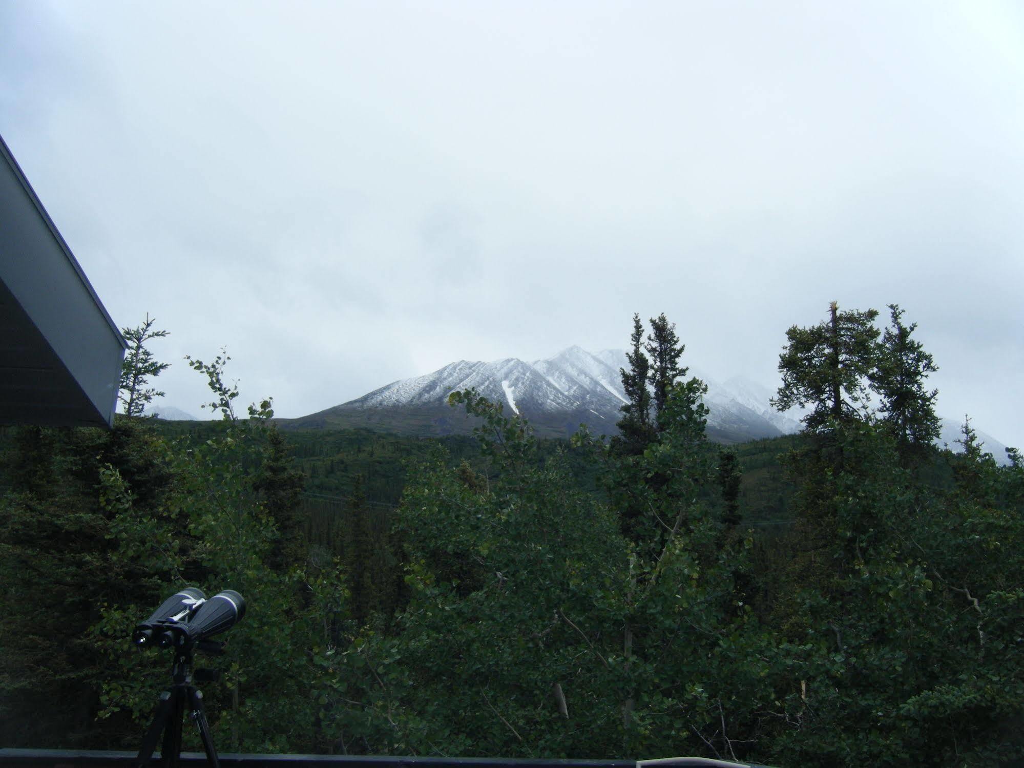 The Perch Resort Denali Park Exterior photo